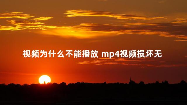 视频为什么不能播放 mp4视频损坏无法播放